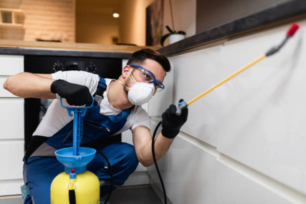 Best Pest Control Near Me in Avalon, CA