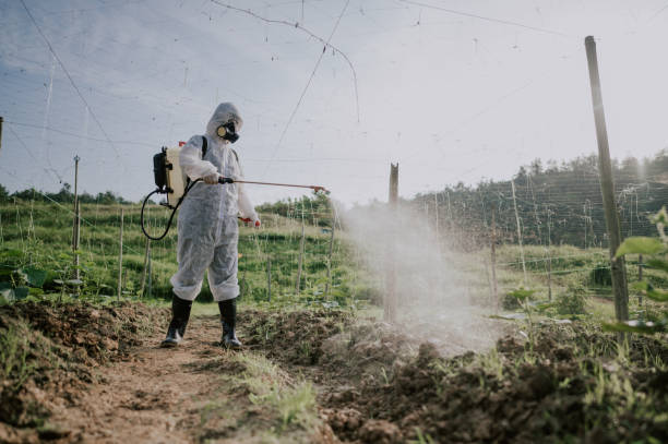 Best Mosquito Control Services  in Avalon, CA