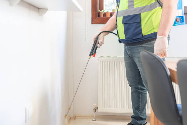 Best Pest Removal Services  in Avalon, CA