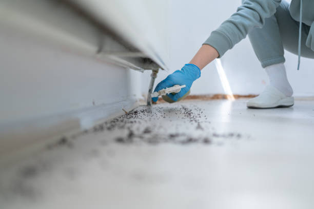 Pest Control for Restaurants in Avalon, CA